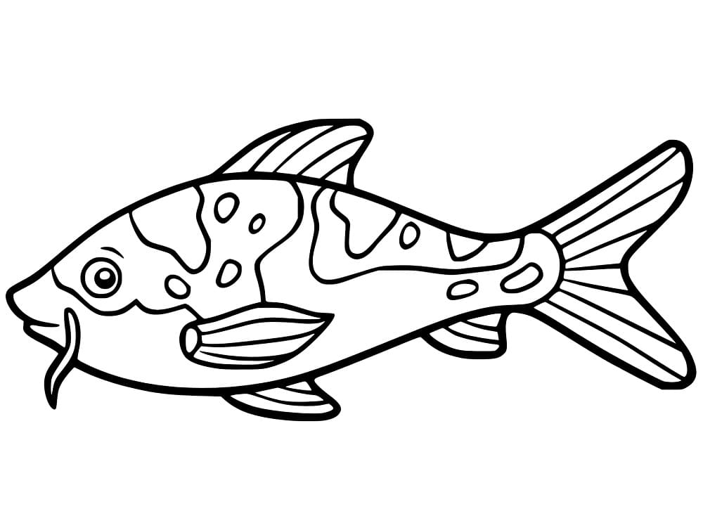 Cartoon koi fish coloring page