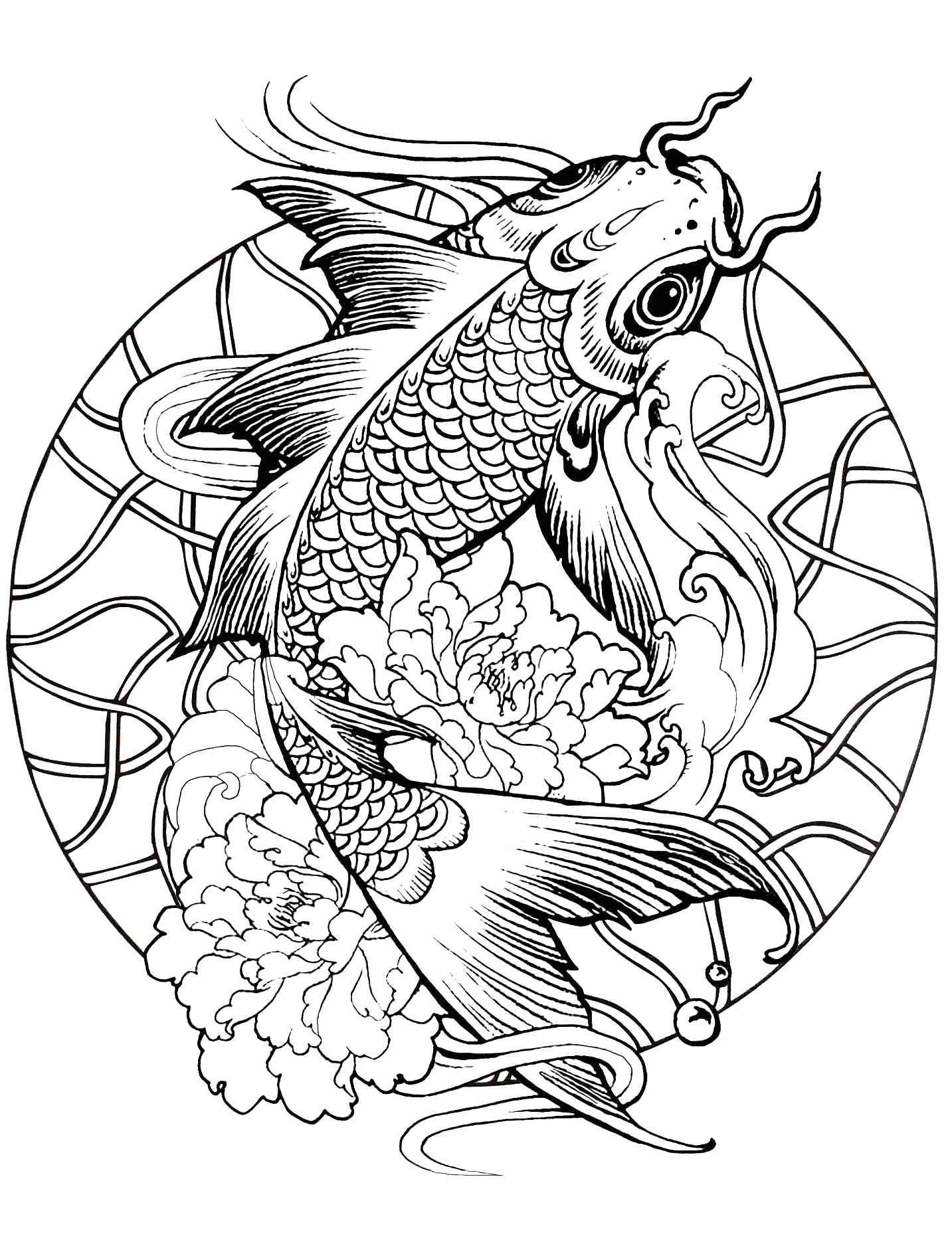 Koi fish coloring pages for adults