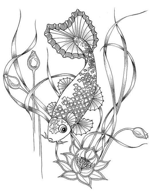 Japanese koi fish coloring pages dibujos para colorear adultos pãginas para colorear para imprimir pãginas para colorear de animales