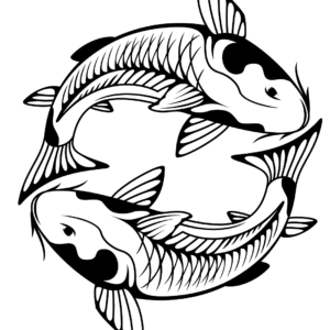 Koi fish coloring pages printable for free download