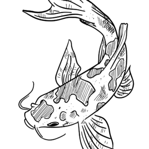 Koi fish coloring pages printable for free download