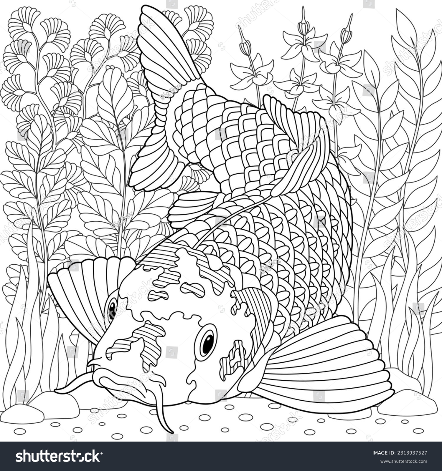 Underwater scene koi fish adult coloring stock vector royalty free