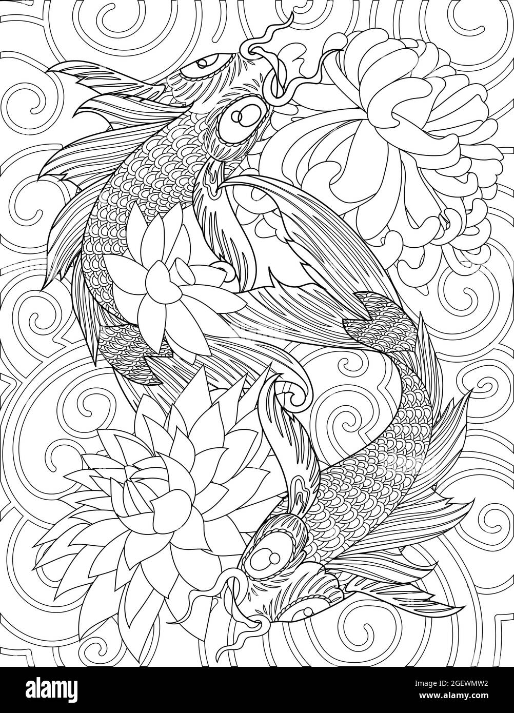 Two koi fish swimming around lotus flowers colorless line drawing carp fishes swims on lake with floating flower coloring book page stock vector image art