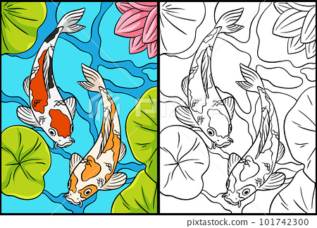 Koi fish coloring page colored illustration