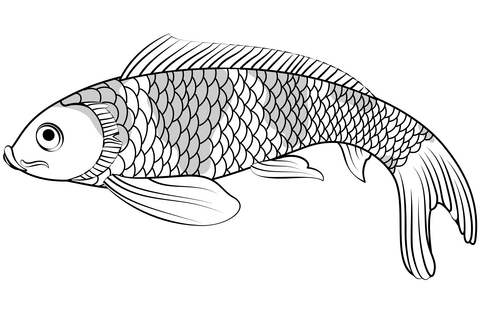 Koi fish coloring page free printable coloring pages