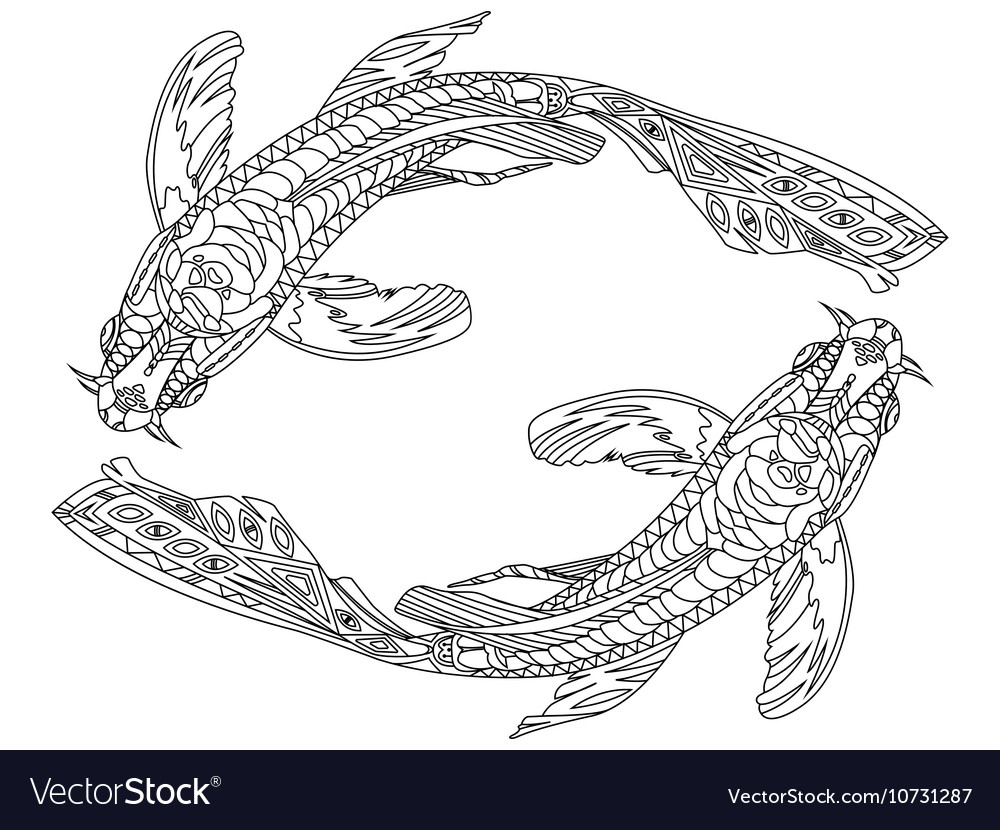 Koi carp fish coloring book for adults royalty free vector