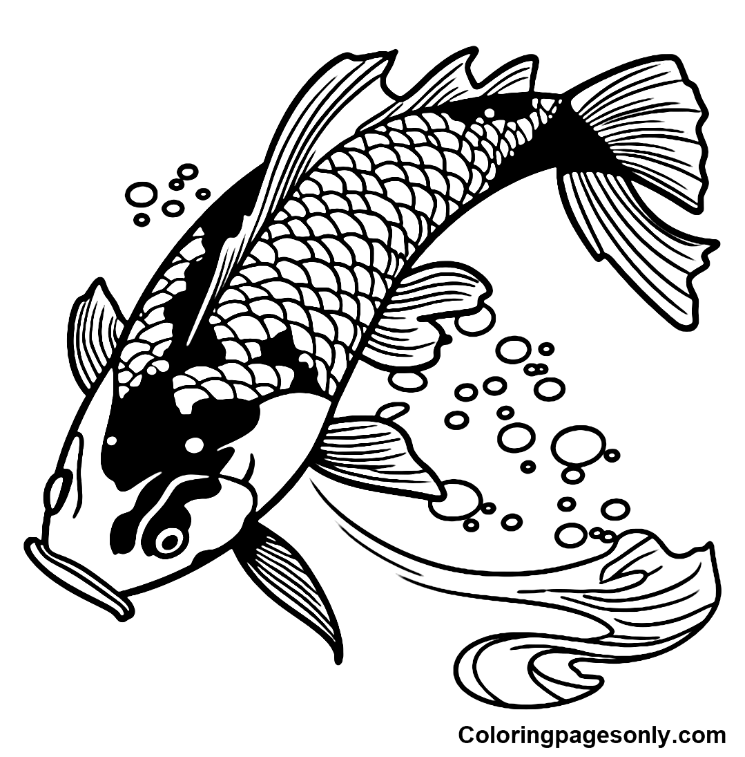 Koi fish coloring pages printable for free download