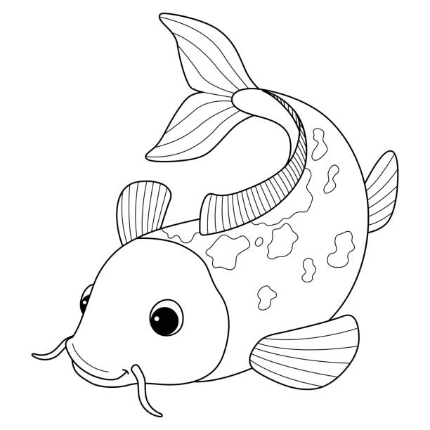 Free koi fish coloring page clipart