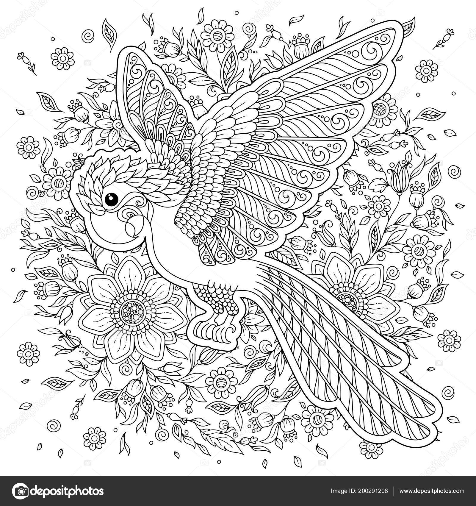 Parrot tropical bird vector illustration coloring book adult older children stock vector by karpenyuk