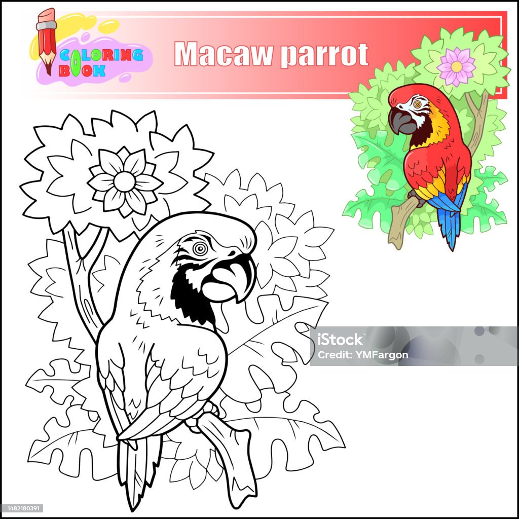 Zabawna kolorowanka papuga ara
