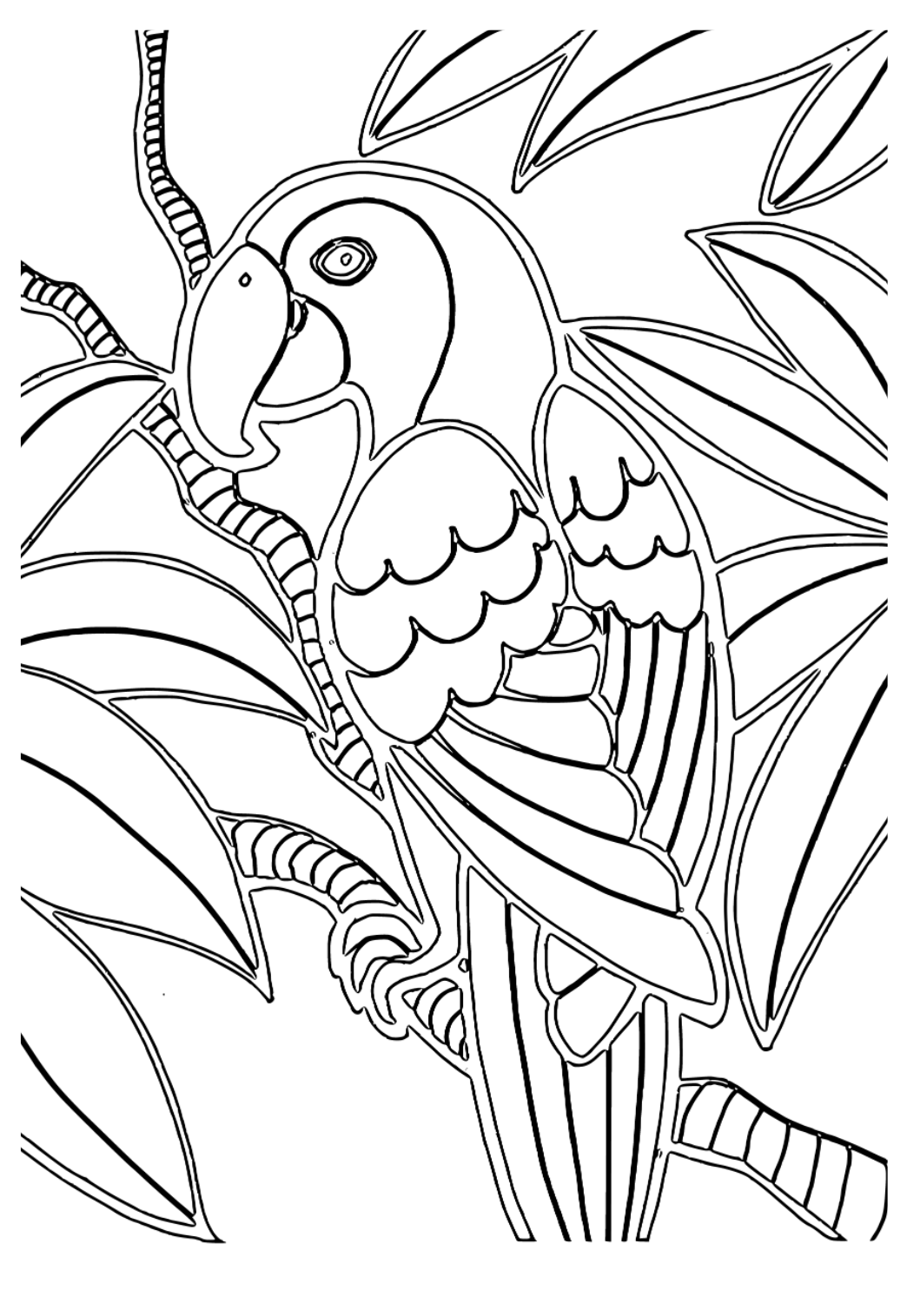 Darmowa kolorowanka ptak papuga do druku dla dorosåych i dzieci