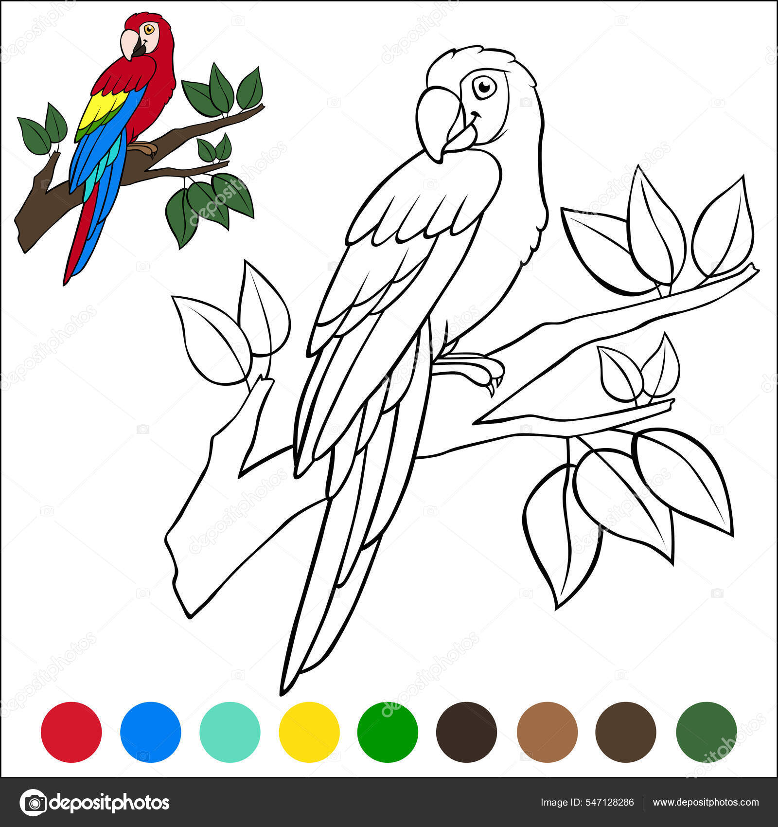 Kolorowanki strony ptakãw cute szczäåliwy papuga czerwony macaw siedzi gaåäzi grafika wektorowa od ya