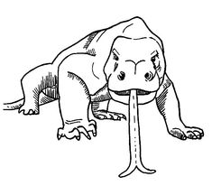 Best komodo dragon coloring pages eas dragon coloring page komodo dragon komodo