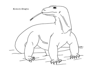 Komodo dragon coloring page by mama draw it tpt