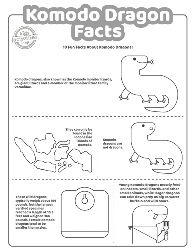 Fun komodo dragon facts kids activities blog