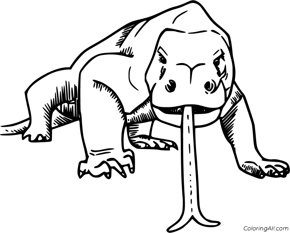 Free printable komodo dragon coloring pages in vector format easy to print from any device and automatically fit â komodo dragon dragon coloring page komodo