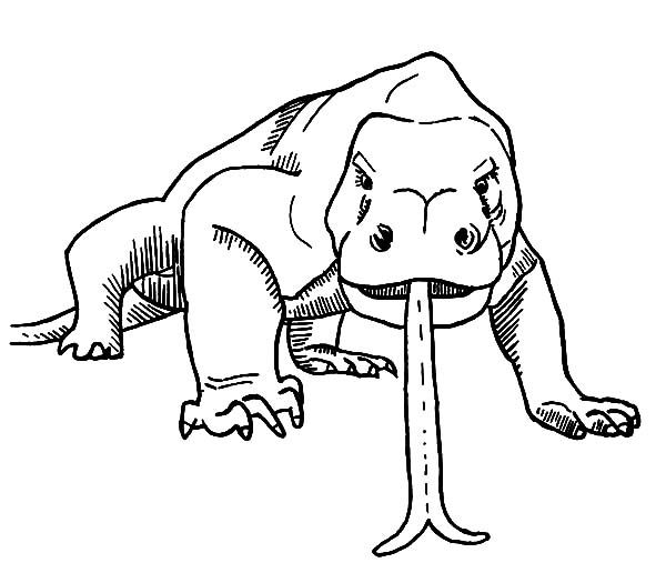 Free printable komodo dragon coloring pages