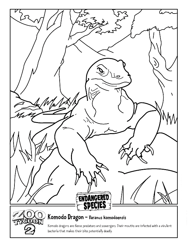 Komodo dragon coloring page