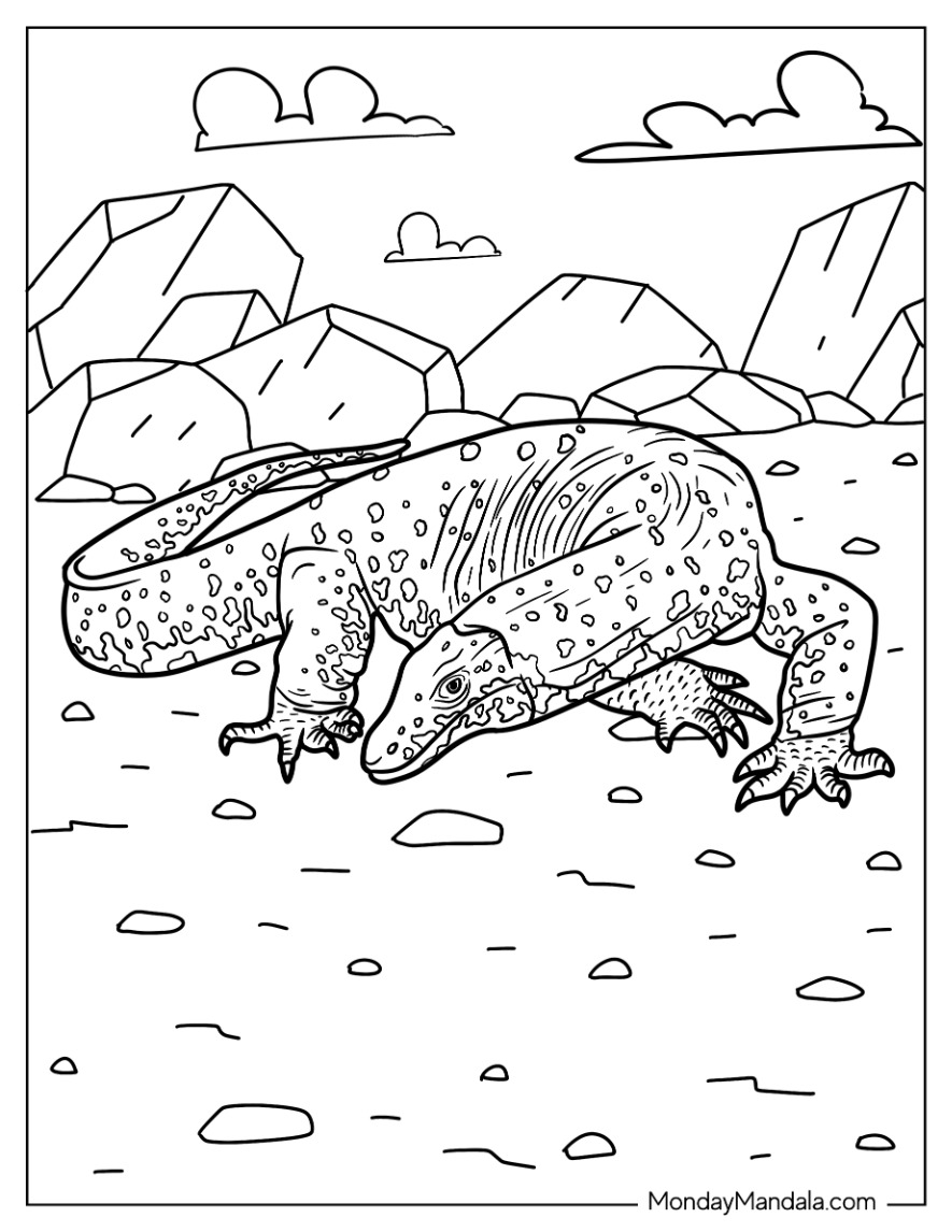 Lizard coloring pages free pdf printables