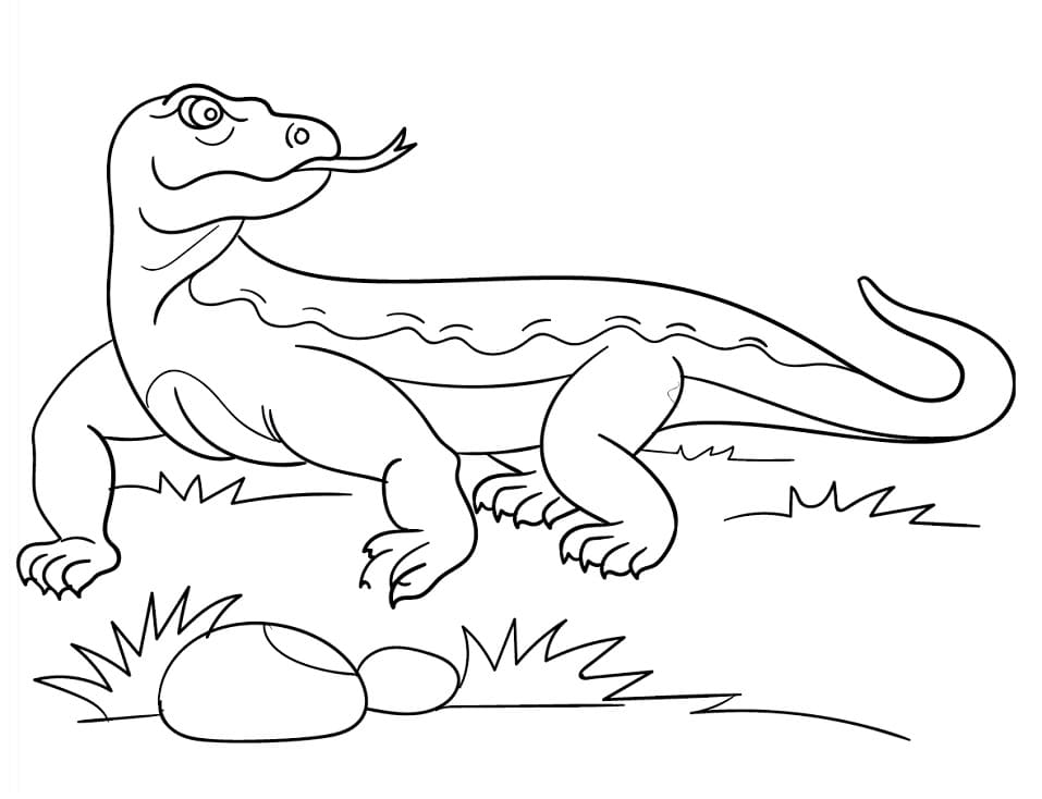 Wild komodo dragon coloring page