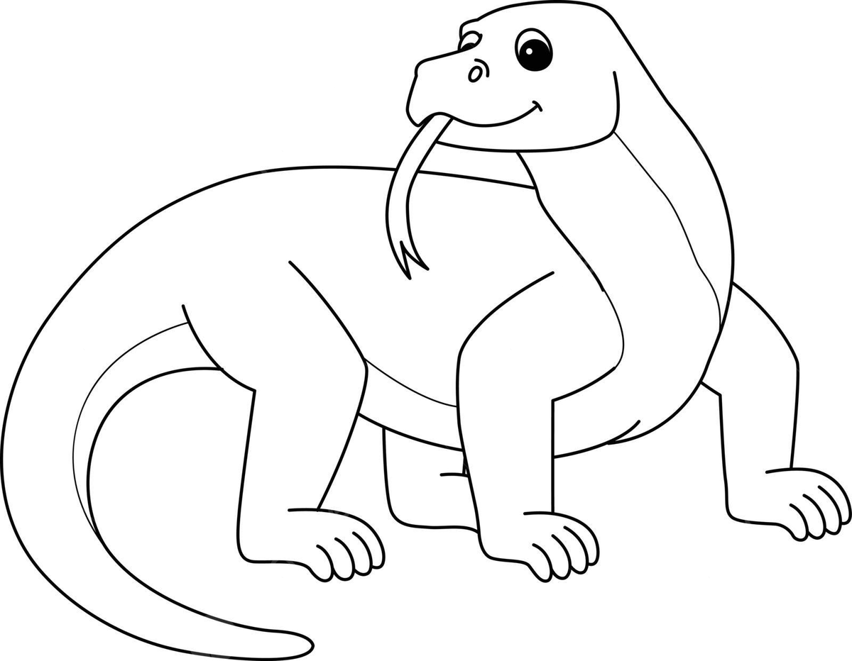 Komodo dragon animal isolated coloring page toddler outline colour vector toddler outline colour png and vector with transparent background for free download