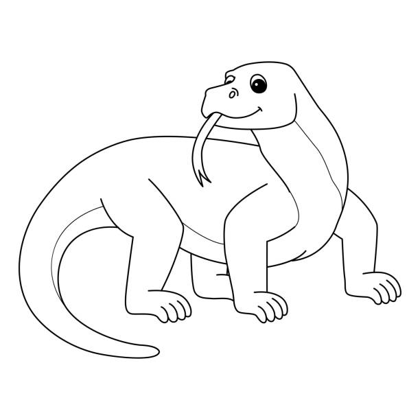 Komodo dragon animal isolated coloring page stock illustration