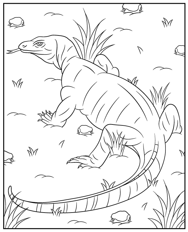 Komodo dragon coloring page sheet