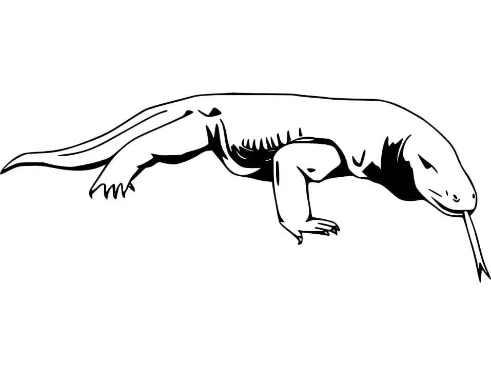 Printable komodo dragon coloring page