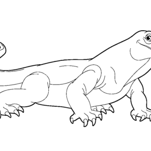 Lizard coloring pages printable for free download