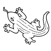 Komodo dragon coloring pages