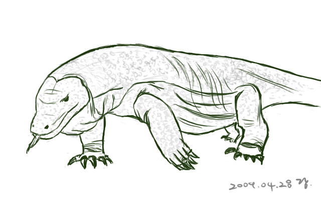 Komodo dragon drawn after watching documentary about komodâ