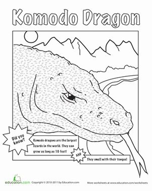 Color the komodo dragon worksheet education komodo dragon komodo dragon coloring page