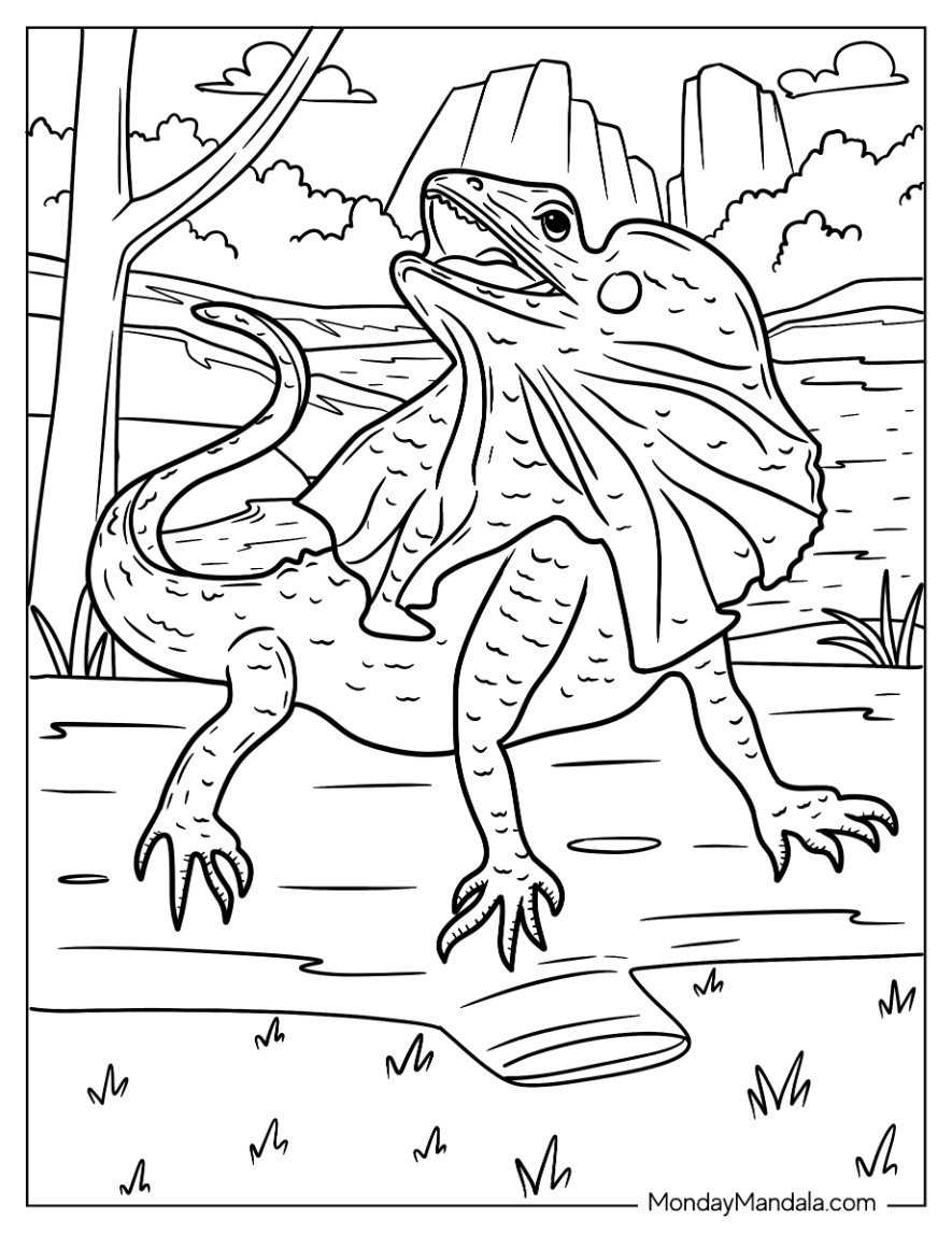 Lizard coloring pages free pdf printables