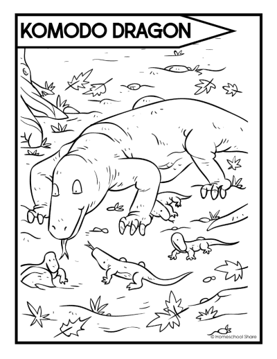 Reptiles coloring pages