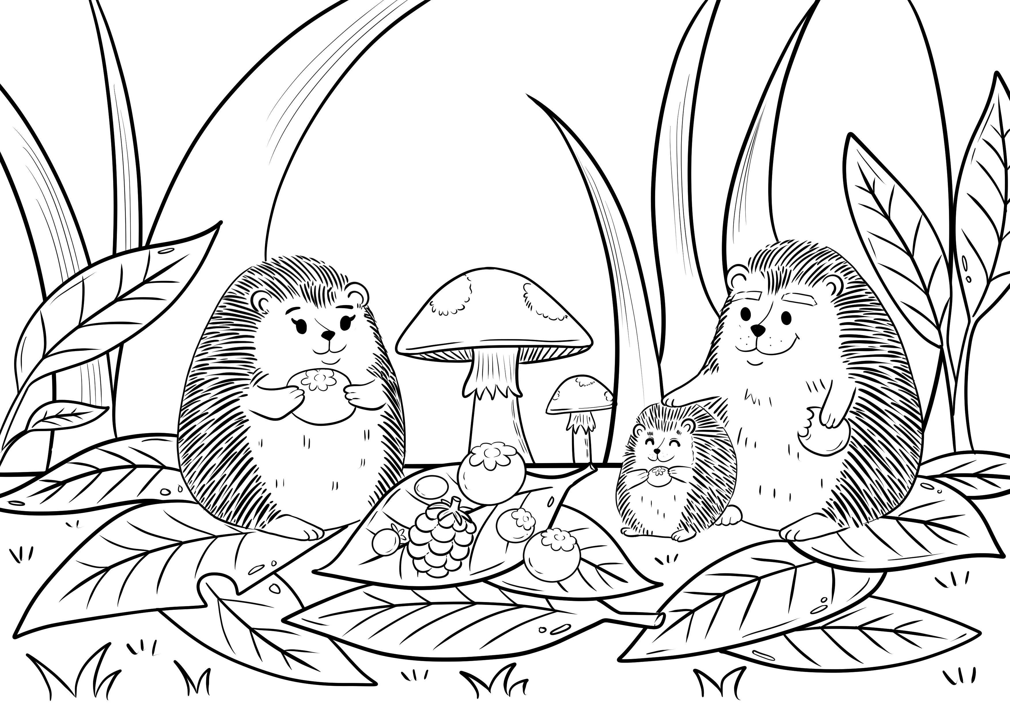 Baby animal coloring sheets