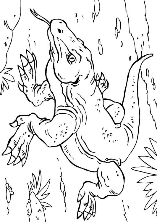 Coloring page komodo dragon