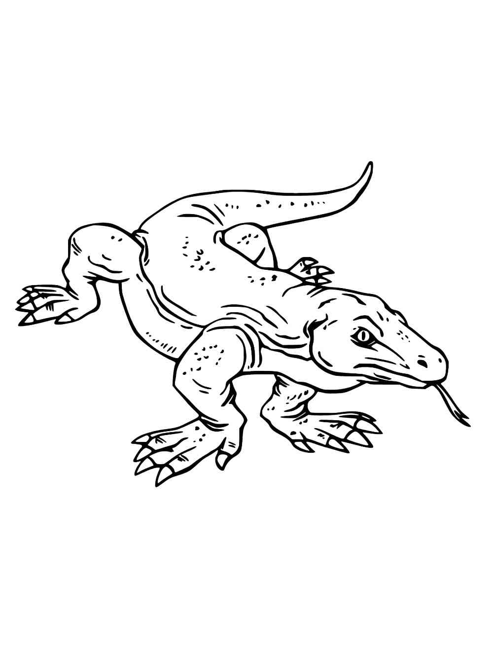 Komodo dragon coloring pages