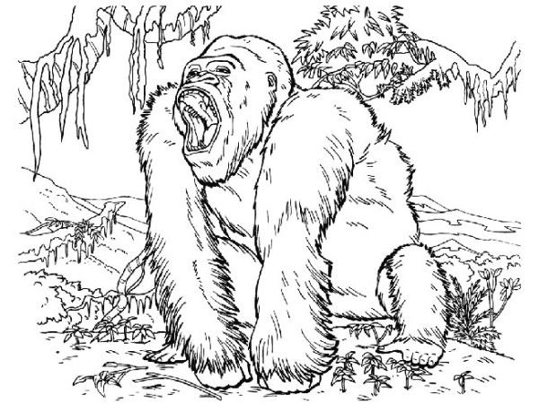 King kong coloring pages printable for free download