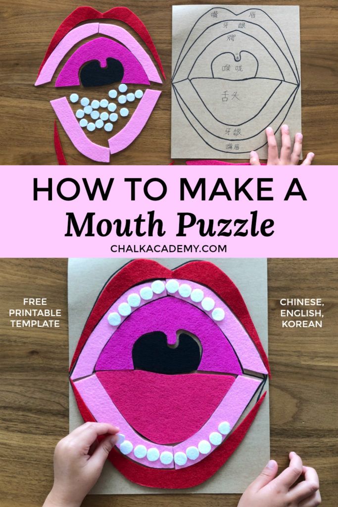 Mouth puzzle coloring page for kids chinese korean english science for kids activities for kids math activities for kids