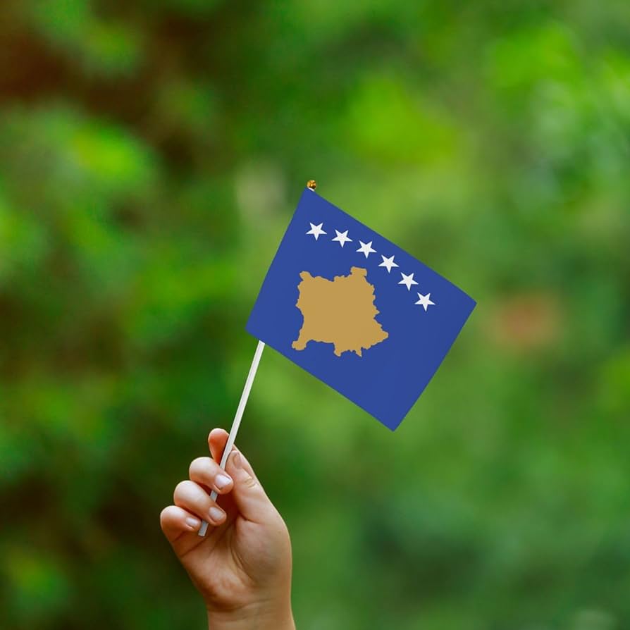 Flag of kosovo stylish handheld flags