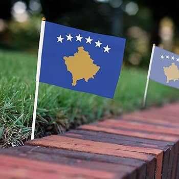 Flag of kosovo stylish handheld flags