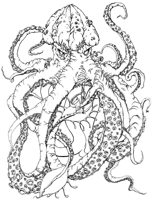 Art therapy coloring page fantastic animals kraken monster coloring pages animal coloring pages adult coloring pages