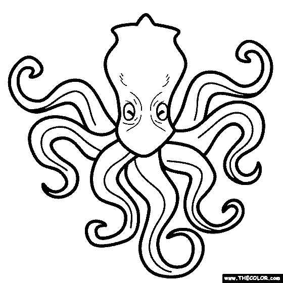 Newest coloring pages