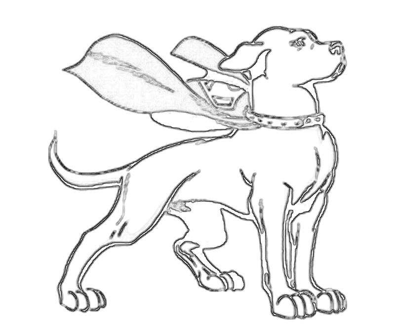 Lowland seed krypto character