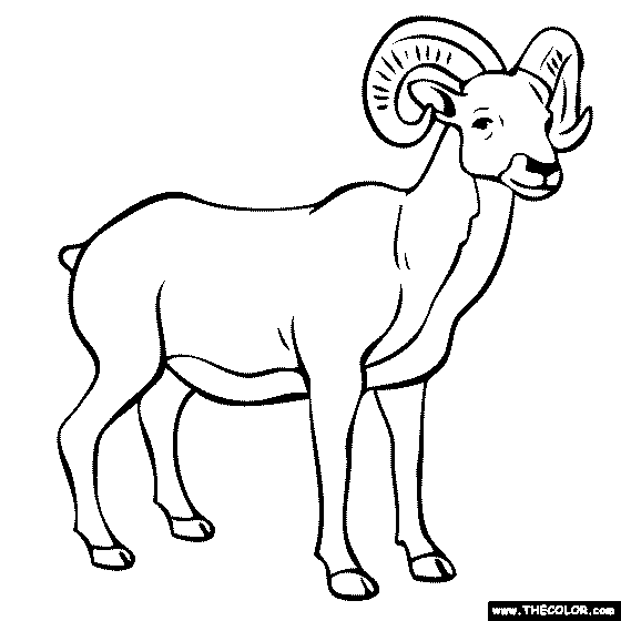 Free online coloring pages co