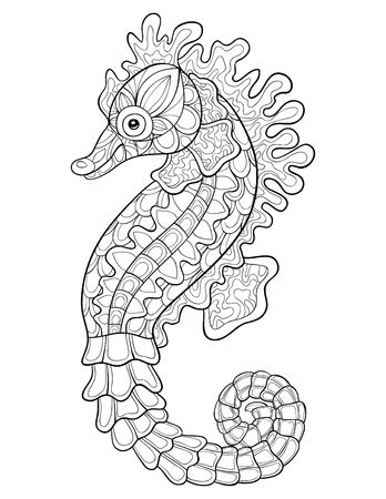 Free coloring page seahorse photos and vectors