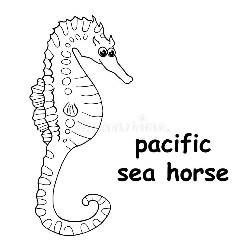 Sea horse draw stock illustrations â sea horse draw stock illustrations vectors clipart