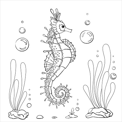 Coloring page seahorse with seaweeds undersea life