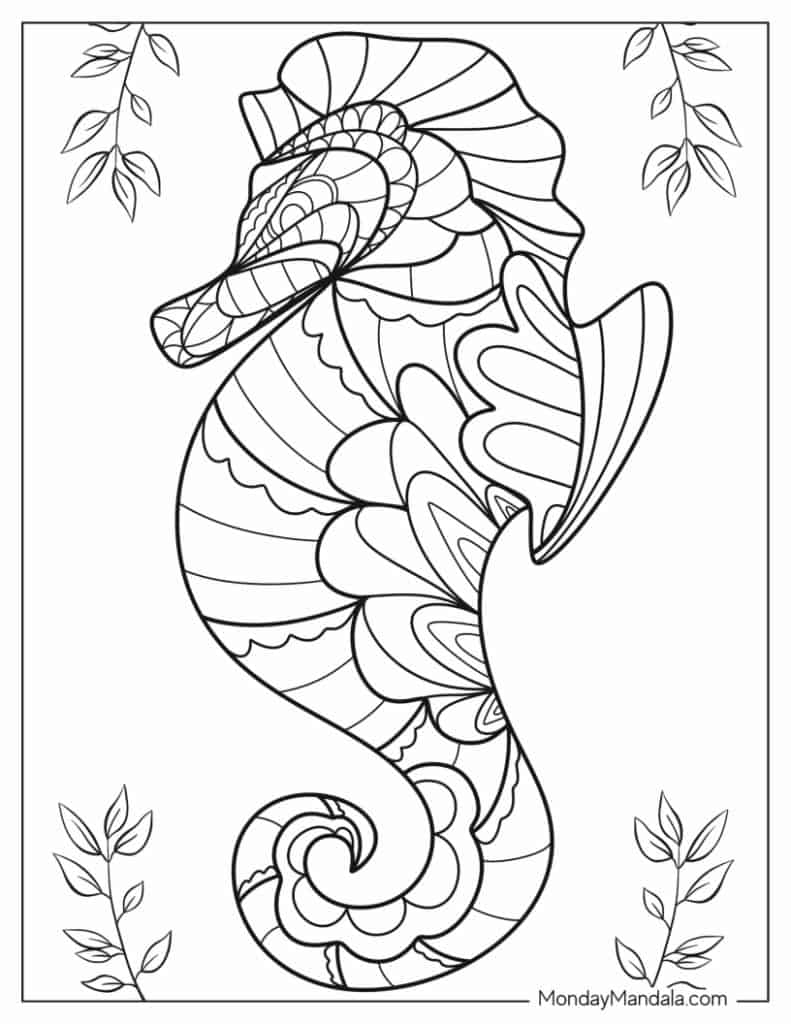 Seahorse coloring pages free pdf printables