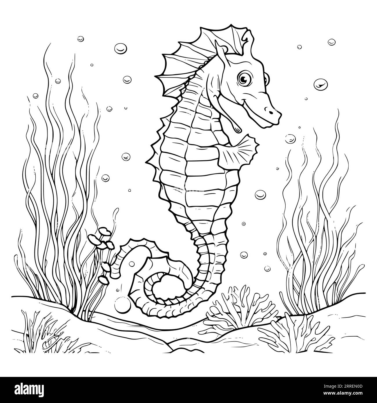 Seahorses cut out stock images pictures